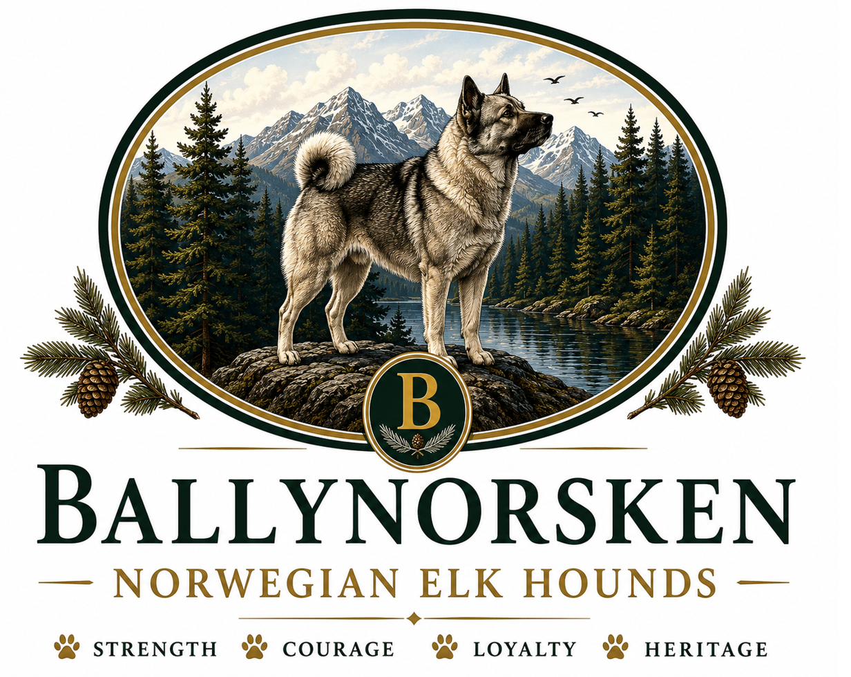 Ballynorsken Norwegian Elk Hounds crest