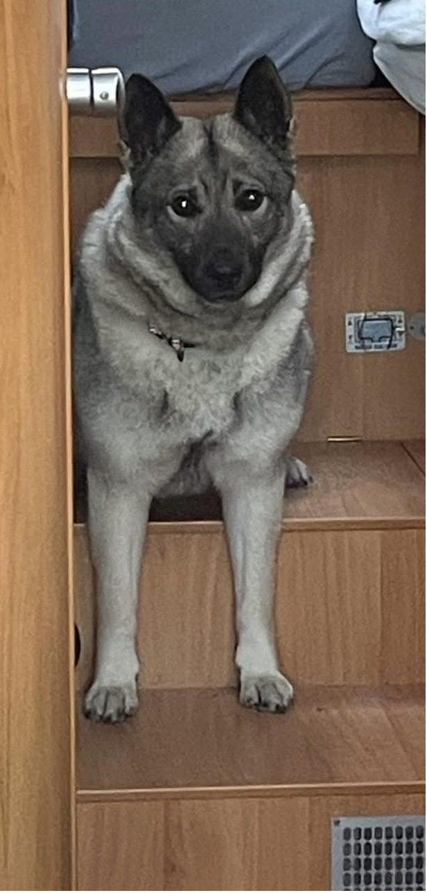 Elsa at home on the estate