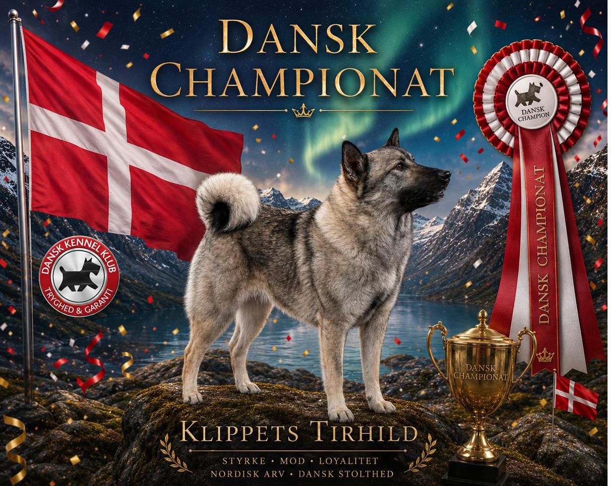 Elsa — Dansk Championat celebration